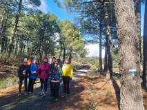 La-Jarosa-Bosque-Plateado-11-1-250022