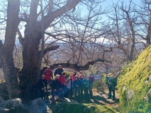 Robledo-de-Chavela-El-Escorial-0012